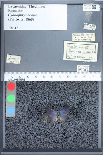 Media type: image;   Entomology 73169